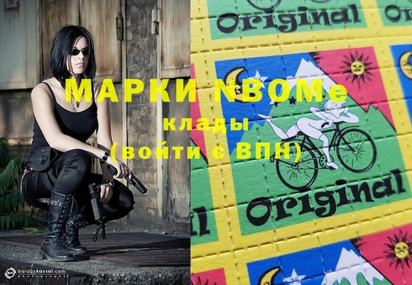 apvp Алзамай
