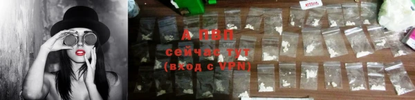 apvp Алзамай