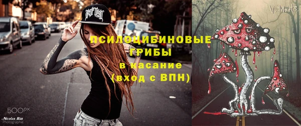 apvp Алзамай