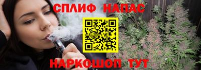 шишки Апшеронск