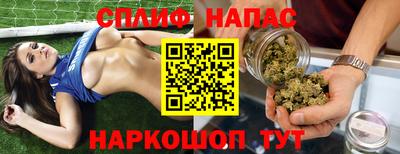 шишки Апшеронск