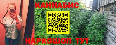 шишки Апшеронск