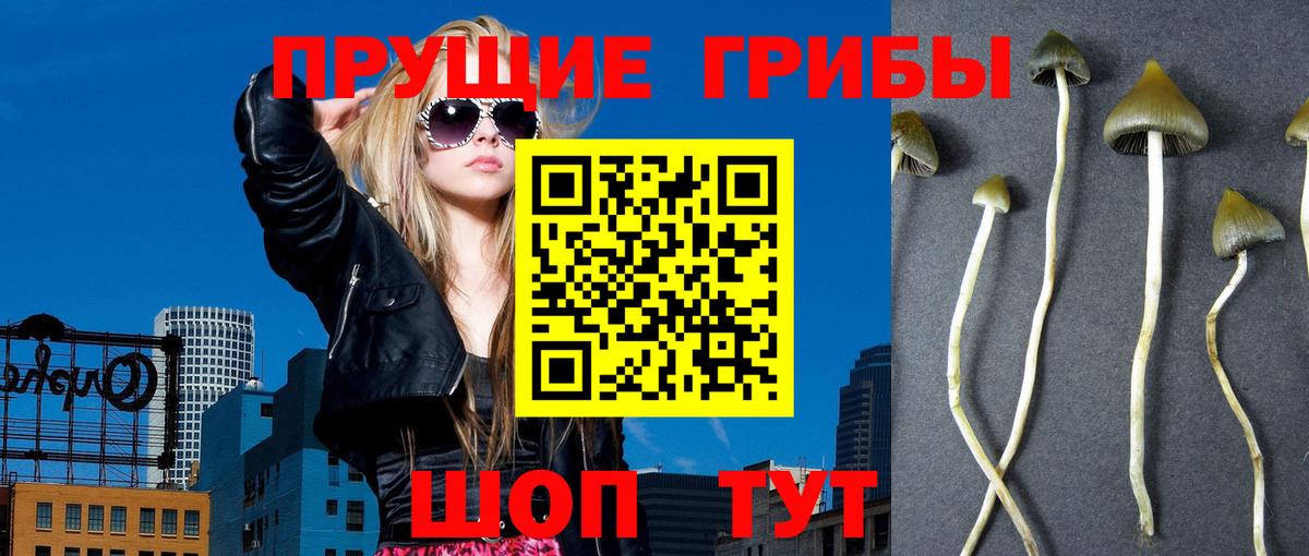 Архангельск  Псилоцибиновые грибы GOLDEN TEACHER  Псилоцибиновые грибы мухоморы  Вход с VPN 